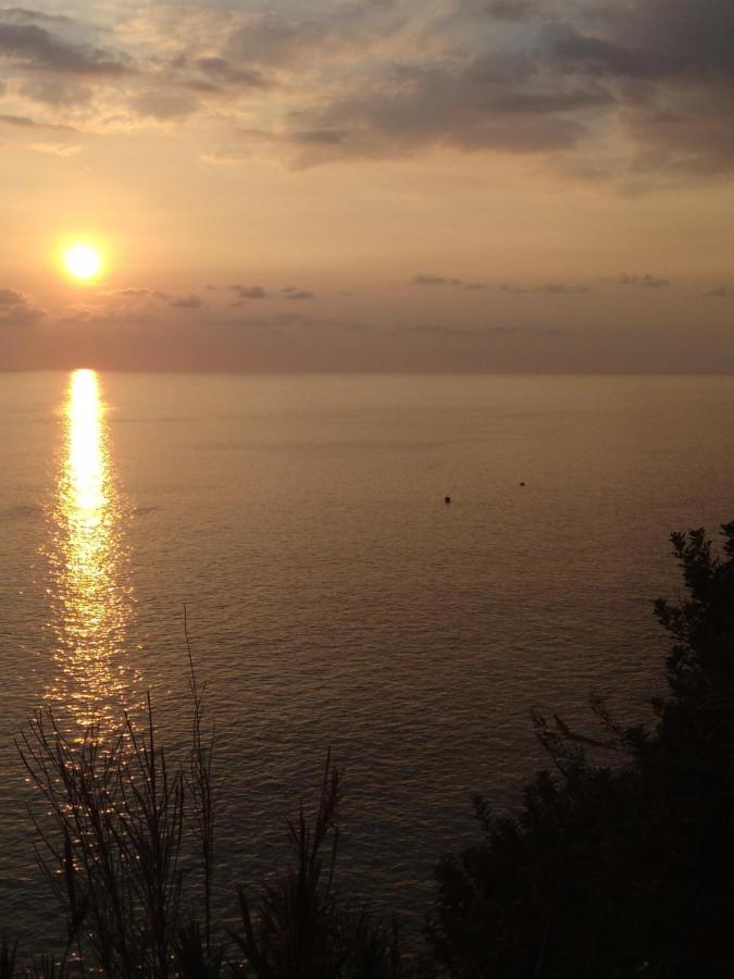 Anjos'S Choice Βίλα Ponta do Sol  Εξωτερικό φωτογραφία